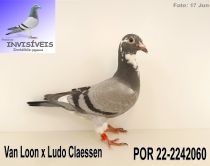 POR 22-2242060